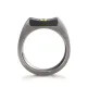 Herrenring Titan Carbon & 18k Gold Diamant schwarz TeNo 52731